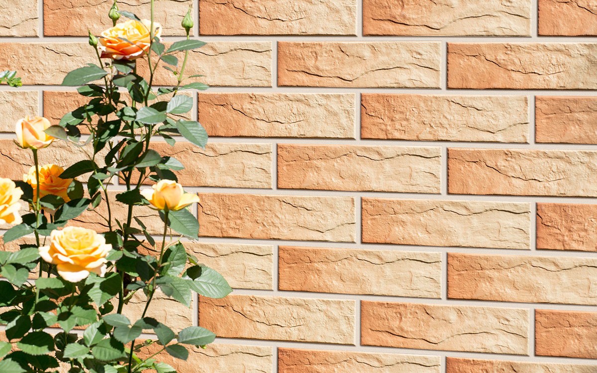 Фасадная клинкерная плитка Cerrad Gobi Rustico, 245x65x6.5 мм